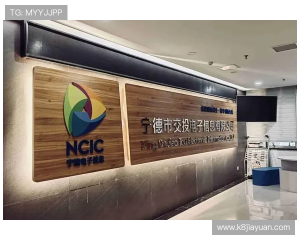 K8凯发在线官网的技术支持与维护服务全面介绍