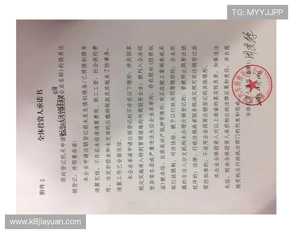 凯发网页地址安全登录流程及账号保护技巧全面解析